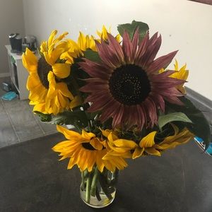 Meet your Posher, Holly